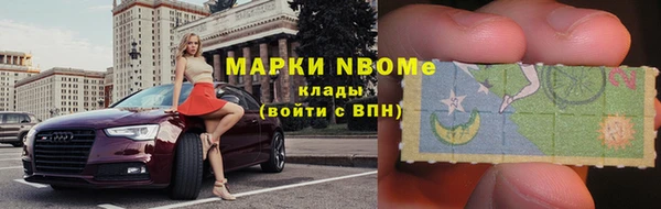 шишки Верея