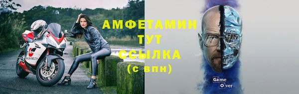шишки Верея