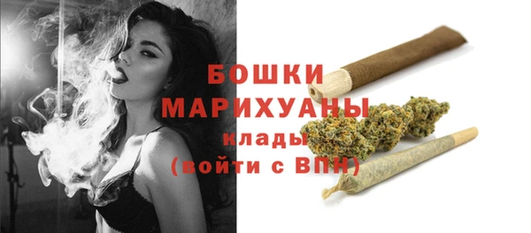 шишки Верея