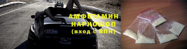 шишки Верея