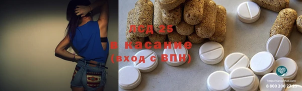 шишки Верея