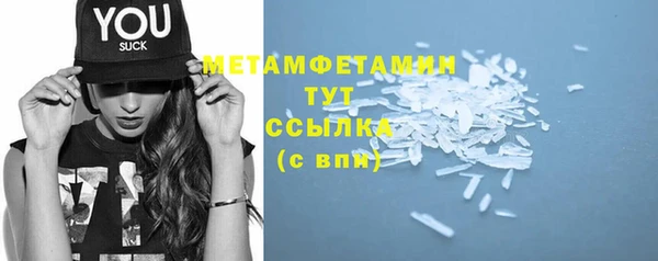 шишки Верея