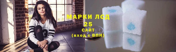 шишки Верея