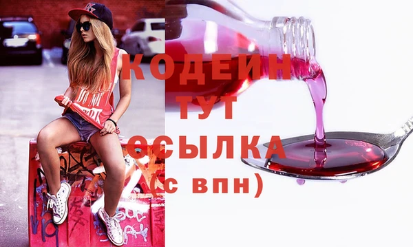 шишки Верея