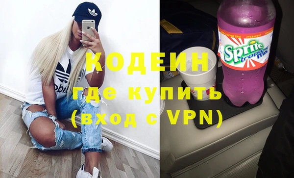 шишки Верея