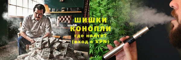 шишки Верея