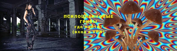 шишки Верея