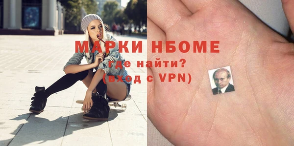 шишки Верея
