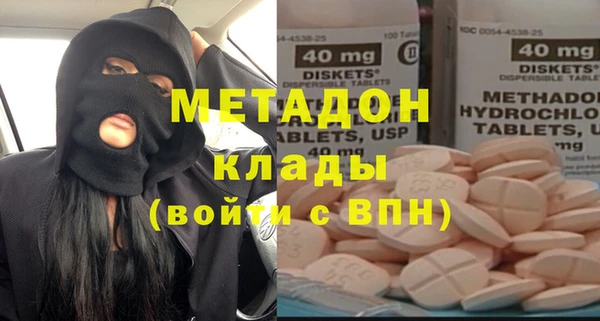 шишки Верея