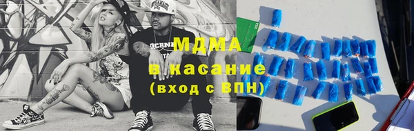 шишки Верея